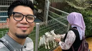 Animals Garden Part 3