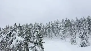ESQU&Iacute; N&Ograve;RDIC A LLES
