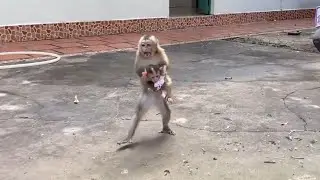 Linda Gesture Laziest To Carry Newborn Baby Go To Taking A Bath