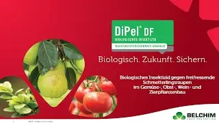 DiPel DF