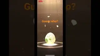 2km Egg hatch. Praying for greatness