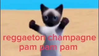 The FUNNIEST reggaeton champán pam pam pam pam pam (TikTok Meme Compilation)