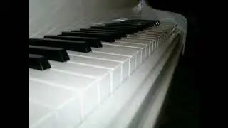 Прелюдия 56312