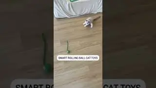 Keep your cat entertained for hours! #SupplySphere #Cat #PetPlaytime #CatVibes #cat #catlover #fypシ