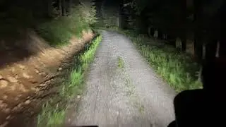 Holz abfahren im Schwarzwald