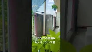 ベランダの警備兵　DIY オニヤンマ君　#DIY #オニヤンマ