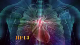 Heart Failure Rife Healing Frequency | Cure Of Heart Disease | 15 Min Rife Treatment