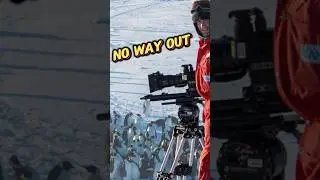 Trapped Penguins Rescued by Film Crew