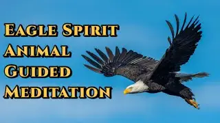 Eagle Spirit Animal Meditation