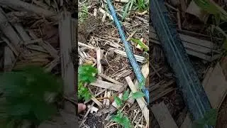 O metodă de compostare mai ușoară.