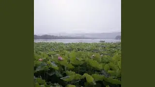 Depth, Or Simply Death