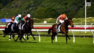 Can Faraglioni win the Tarzino Trophy?