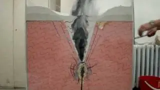 Analog experiment of phreatomagmatic eruption