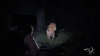 The last of us part 2 ps5