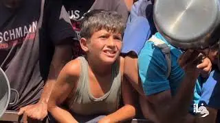 Dr. Paul Spiegel interview on Gaza famine by Australian Broadcasting Corporation, Aug 22, 2025