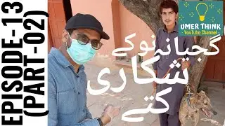 Village Life | Champion Racing Dogs of Gajiana | Super Store of Gajiana | Umer Think | UT1