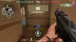 ace.exe ft. reyna | valorant gameplay highlights