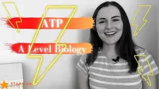 ATP | A Level Biology