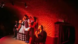 Flamenco show in Madrid, Spain 2023