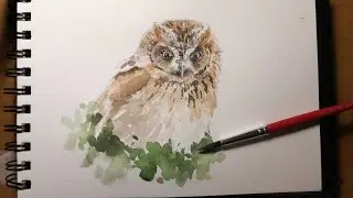 Il Disegno Naturalistico per WWF young Earth hour 2020