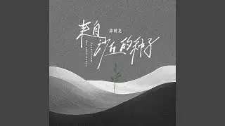挥霍