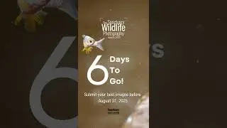 The Sanctuary Wildlife Photography Awards 2025!