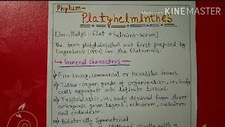 Phylum platyhelminthes characters and classification explain