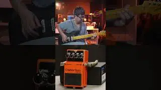 #ds1x #bosseffects #guitar #rockguitarinstrumental #ป้ายยาละลายทรัพย์ #maipangproduction #guitarist