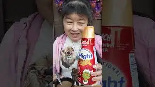 LIMITED EDITION: International Delight Grinch Peppermint Mocha Coffee Creamer