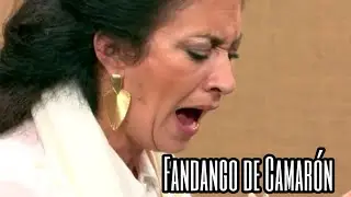La Fabi Fandangos y Soleá Por Bulería/ @TemplePurezaYCompás