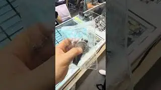 Покупка часов в Европе.Эксклюзивные модели  и редкие экземпляры.Обзор, подбор и доставка.