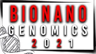 Bionano Genomics: Fundamental Stock Analysis 2021 (filtering the hype) // BNGO Stock