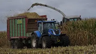MAIS SILAGE 2022 (loonbedrijf Fieten) - Claas Jaguar 900, New Holland, fendt