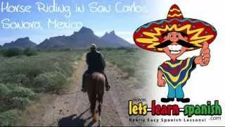 Learn Spanish Essentials (4) Lets-Learn-Spanish.com: 