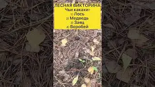 Русский лес ВИКТОРИНА для знатоков 🌲🌲🌲 Russian Forest