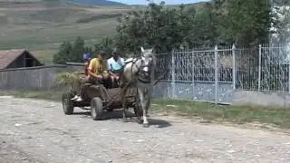 ERD&Eacute;LY 1 r&eacute;sz