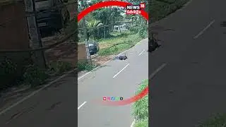 Stray Dog Attack | കായംകുളത്ത് വീണ്ടും തെരുവു നായ ആക്രമണം;  വയോധികനടക്കം ആറുപേർക്ക് കടിയേറ്റു