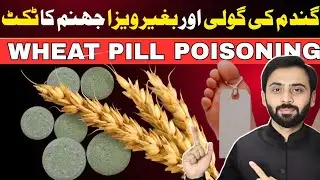 Wheat Pill Poisoning in Pakistan| The Deadliest Cheap Poison Explained by Dr Nabigha Ch
