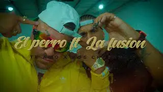 El Perro & La Fusi&oacute;n - Te amo X Nos cruzamos | Video Oficial 2024