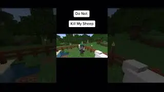 They always kill my sheep 😭😭😭 #minecraft #fyp #wolf #sheep #funny