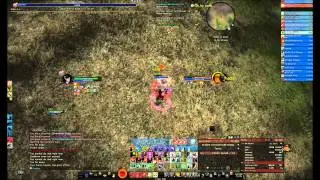 Lotro pvp / Minstrel lvl 100 (U.15) / Slaughterhouse