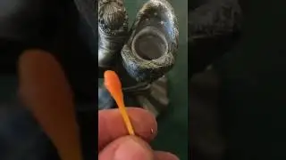 how do you TEST for &ldquo;lead&rdquo;