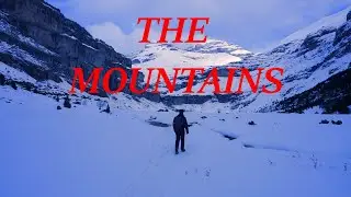 The penguin longs for the mountains #penguin #mountains #edit