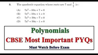Polynomials 🔥 Class 10 Important Questions | Polynomials Tricks | CBSE Maths