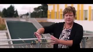 Hazel Wolf: E-STEM K-8 School