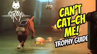 CAN'T CAT-CH ME Trophy Walkthrough - STRAY