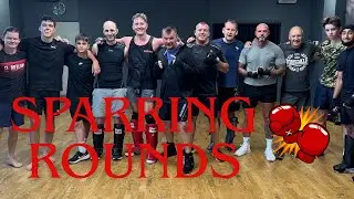 Behind-the-Scenes of Team Mayhem's Intense Fight Training!