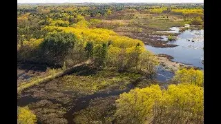 Ipswich River - part 1