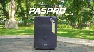 POLYTRON PAS PRO15F3