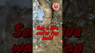 See A Live Water&nbsp;Line&nbsp;Tap&nbsp;Leak&nbsp;In Queens NYC - Team Balkan In Action!
